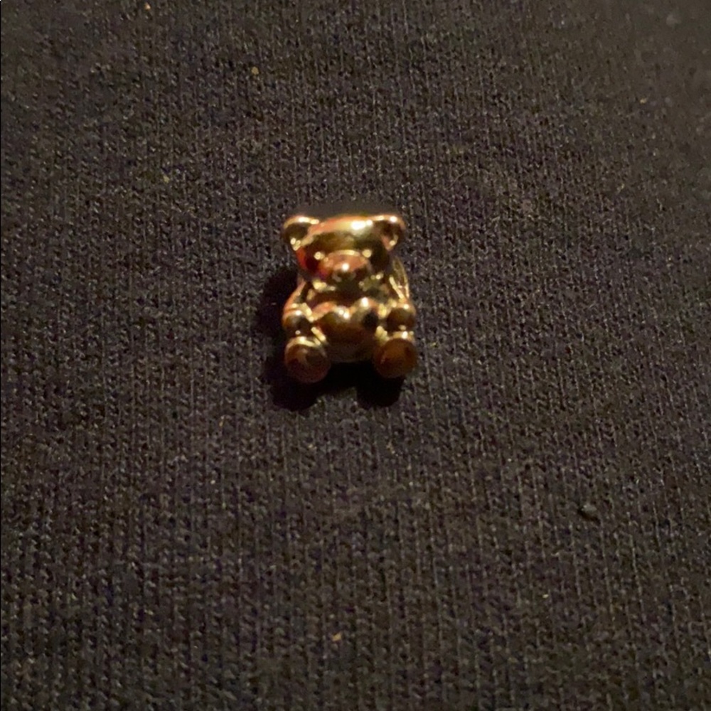 Pandora Bracelet Charm